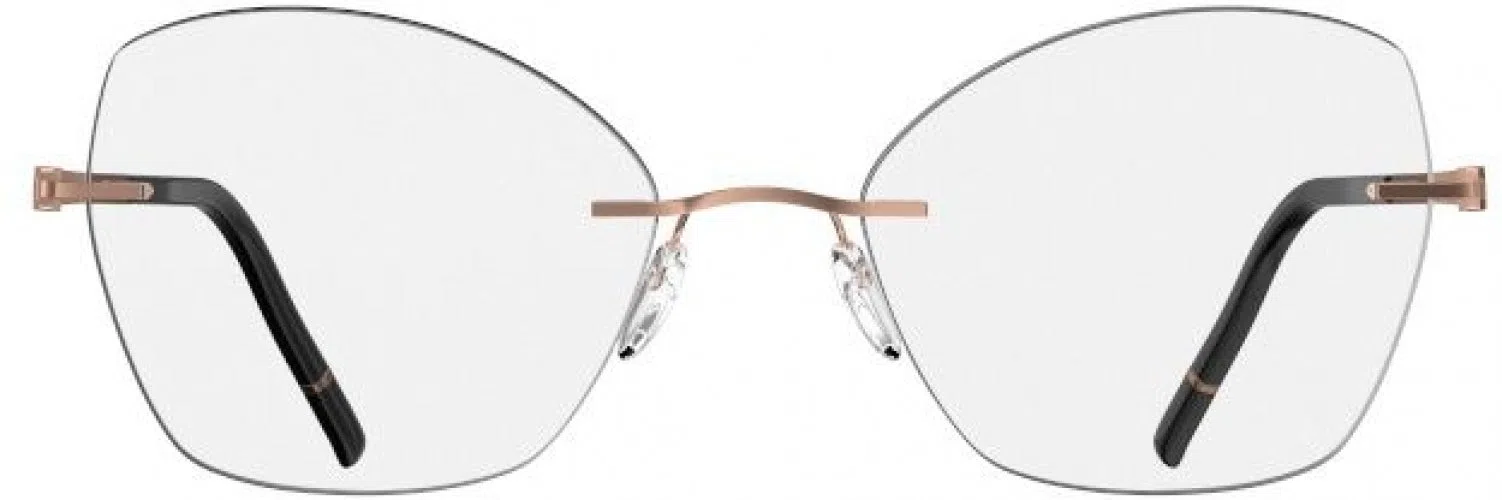 Silhouette Momentum Aurum Demo Rimless 5564 Eyeglasses - view 14
